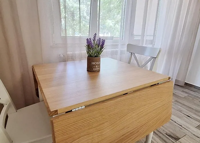 Cezar Faleza-nord Constanta-plaja Reyna Apartament