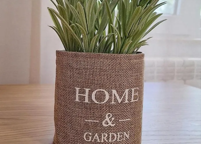 Cezar Faleza-nord Constanta-plaja Reyna Apartament *